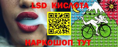 прущие грибы Бузулук