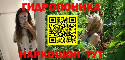 прущие грибы Бузулук