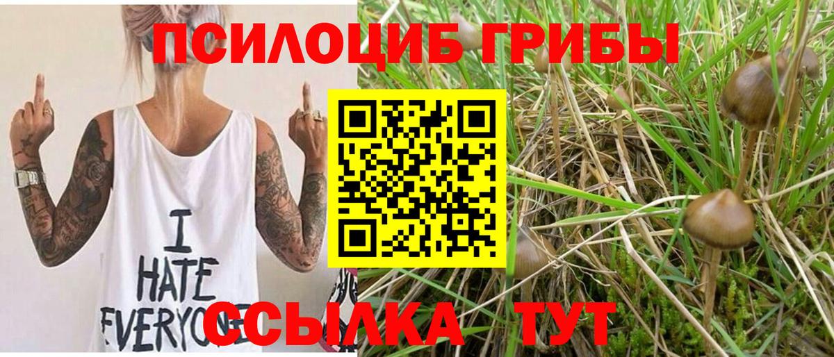 Галлюциногенные грибы ЛСД  Вход с VPN  Кировск  наркота  Галлюциногенные грибы Magic Shrooms 